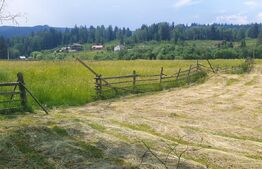 Teren 10.000 mp, intravilan, zona Neagra Sarului