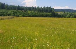 Teren 10.000 mp,  intravilan, zona Neagra Sarului