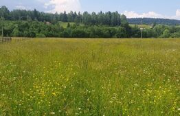 Teren 10.000 mp,  intravilan, zona Neagra Sarului