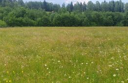 Teren 10.000 mp,  intravilan, zona Neagra Sarului