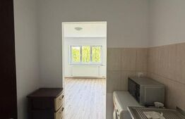 Garsoniera renovata, 22.5 mp, etaj intermediar, geam la baie, cartier Burdujeni