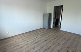 Garsoniera renovata, 22.5 mp, etaj intermediar, geam la baie, cartier Burdujeni