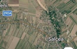 Teren intravilan de vanzare, parcelat, 11379 mp, Salcea