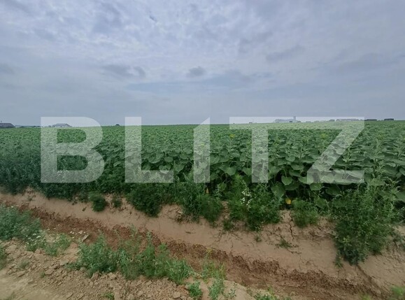 Teren de vânzare Exterior Est - 199778TV | BLITZ Suceava | Poza2