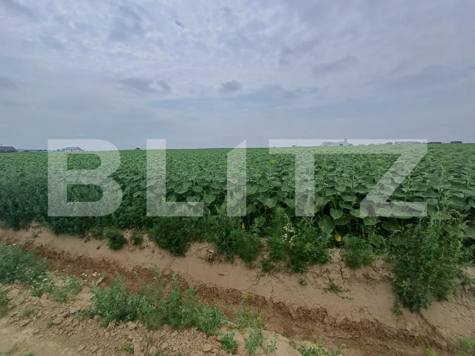 Teren de vânzare Exterior Est - 199778TV | BLITZ Suceava | Poza2