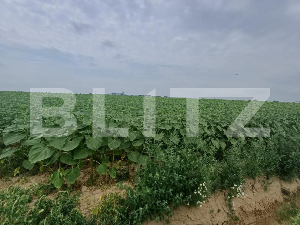 Teren de vânzare Exterior Est - 199778TV | BLITZ Suceava | Poza4