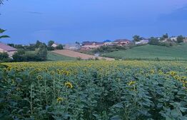 Teren de vânzare, intravilan, 20 ari, Moara Nica