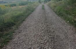 Teren de vânzare, intravilan, 20 ari, Moara Nica