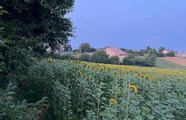 Teren de vânzare, intravilan, 20 ari, Moara Nica