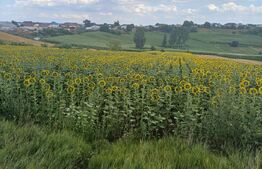 Teren de vânzare Exterior Nord - 201748TV | BLITZ Suceava | Poza2