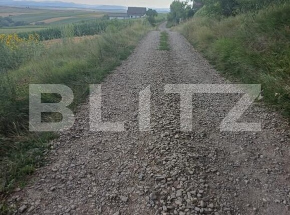 Teren de vânzare Sud Vest - 200108TV | BLITZ Suceava | Poza5