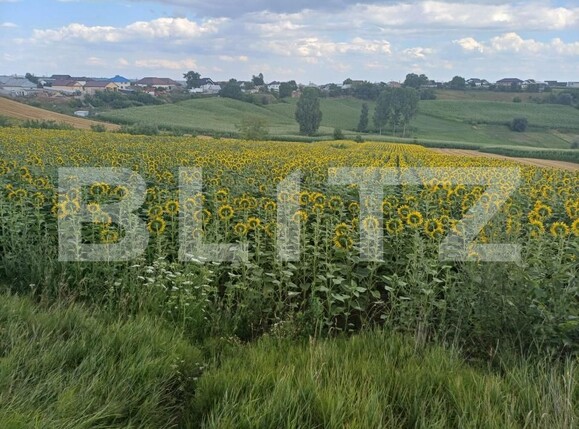 Teren de vânzare Sud Vest - 200108TV | BLITZ Suceava | Poza1