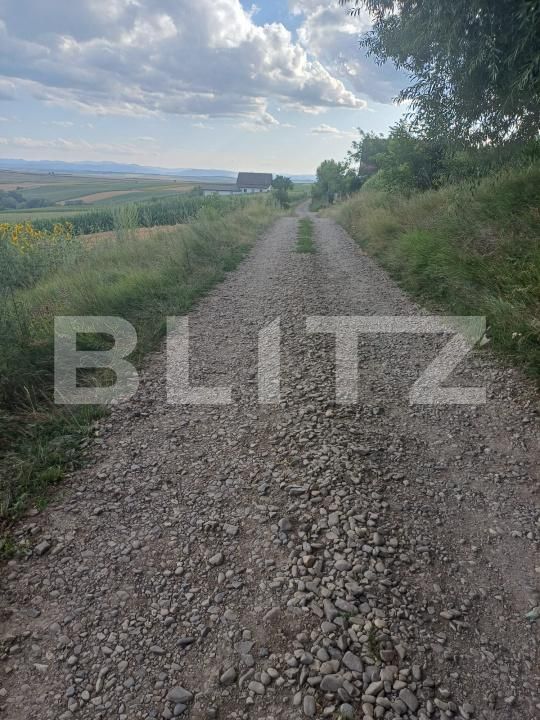 Teren de vânzare Sud Vest - 200108TV | BLITZ Suceava | Poza5