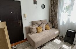 Microapartament, Mobilat/Utilat, Etaj 1 - Burdujeni 