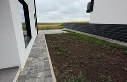 Casa moderna, 116 mp, 300 mp teren ,,la alb” zona rezidentiala Ipotesti