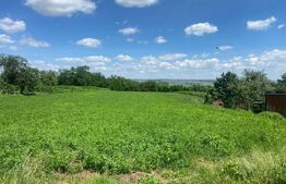 Teren intravilan, 4000mp, Lisaura, Suceava