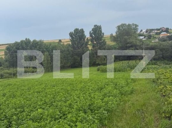 Casa de vânzare 2 camere Balcauti - 200591CV | BLITZ Suceava | Poza10