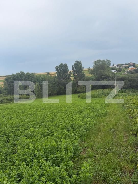 Casa de vânzare 2 camere Balcauti - 200591CV | BLITZ Suceava | Poza10