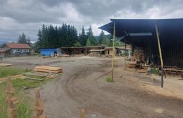 Spatiu comercial, teren de 3856 mp intravilan, V. Dornei