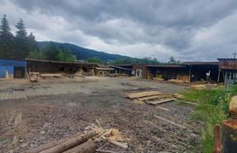 Spatiu comercial, teren de 3856 mp intravilan, V. Dornei