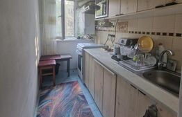 Apartament 2 Camere, Etaj 2 - Zona George Enescu 