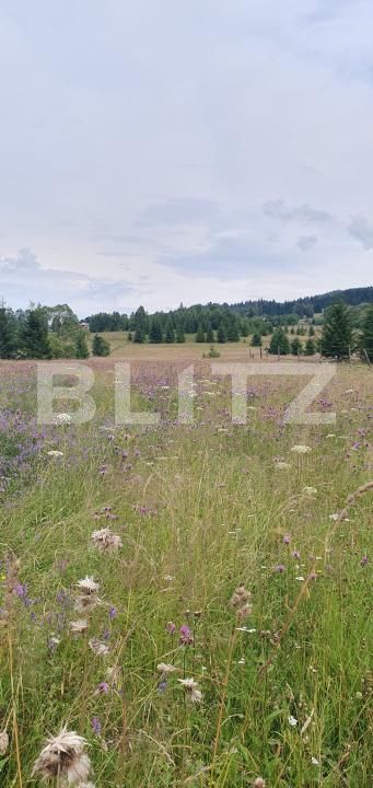 Teren de vânzare Vatra Dornei - 200747TV | BLITZ Suceava | Poza2