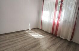 Apartament 2 camere, parter, Siret