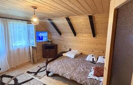 Casa de vacanta , 114 mp , 1080 mp teren, Vama, Bucovina 