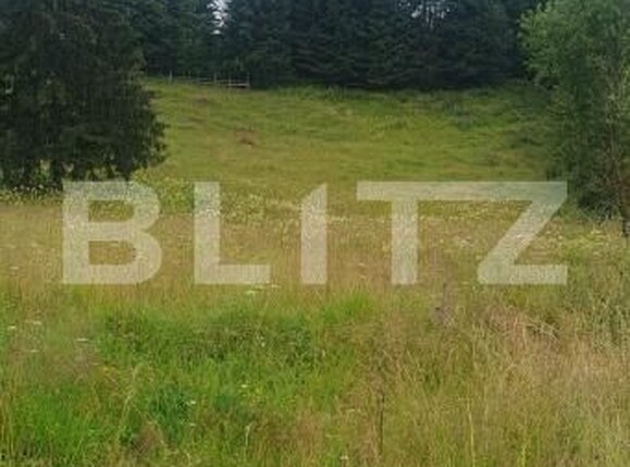 Teren de vânzare Vatra Dornei - 200886TV | BLITZ Suceava | Poza3
