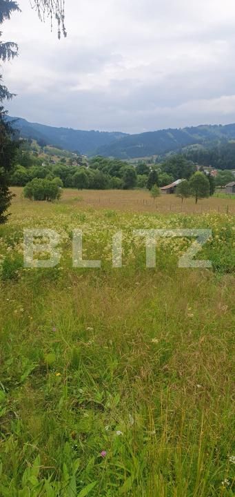 Teren de vânzare Vatra Dornei - 200886TV | BLITZ Suceava | Poza5