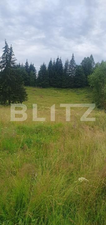 Teren de vânzare Vatra Dornei - 200886TV | BLITZ Suceava | Poza3