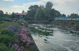 Casă în Bacău de Mijloc, județul Arad