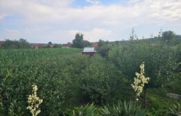 Casă în Bacău de Mijloc, județul Arad