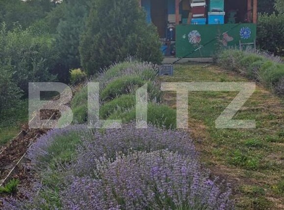 Casa de vânzare 4 camere Central - 200967CV | BLITZ Suceava | Poza14