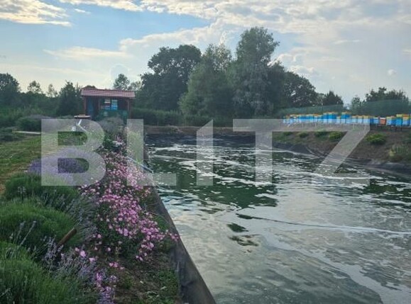 Casa de vânzare 4 camere Central - 200967CV | BLITZ Suceava | Poza22
