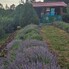 Casa de vânzare 4 camere Central - 200967CV - Poza 1 din 23 | BLITZ Suceava | Poza17