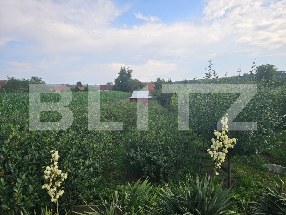 Casa de vânzare 4 camere Central - 200967CV | BLITZ Suceava | Poza21