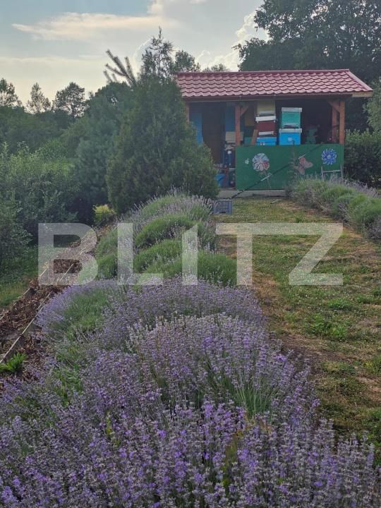Casa de vânzare 4 camere Central - 200967CV | BLITZ Suceava | Poza14
