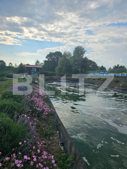 Casa de vânzare 4 camere Central - 200967CV | BLITZ Suceava | Poza22