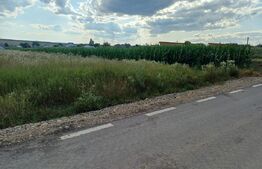 Teren de vânzare, intravilan, 32 ari, Moara Nica