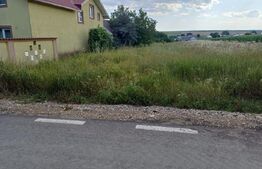 Teren de vânzare, intravilan, 32 ari, Moara Nica