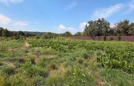 Teren intravilan, 3600 mp, în Bogdănești, zona Profi