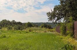 Teren intravilan, 3600 mp, în Bogdănești, zona Profi