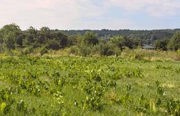 Teren intravilan, 3600 mp, în Bogdănești, zona Profi