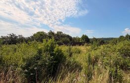 Teren intravilan, 3600 mp, în Bogdănești, zona Profi