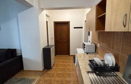 Apartament cu 2 camere, etaj 2, bloc cu lift, George Enescu