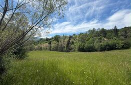 Teren extravilan 5049 mp, Vama, Bucovina 