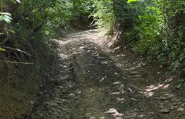 Teren extravilan 5049 mp, Vama, Bucovina 
