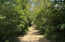 Teren extravilan 5049 mp, Vama, Bucovina 