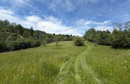 Teren extravilan 5049 mp, Vama, Bucovina 